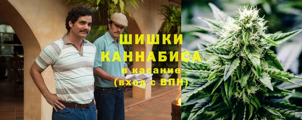 МДПВ Пересвет