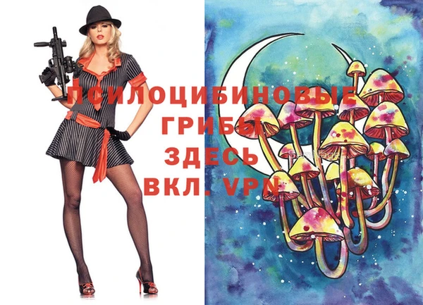 бошки Абдулино