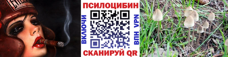 Галлюциногенные грибы Cubensis  даркнет сайт  Суоярви 